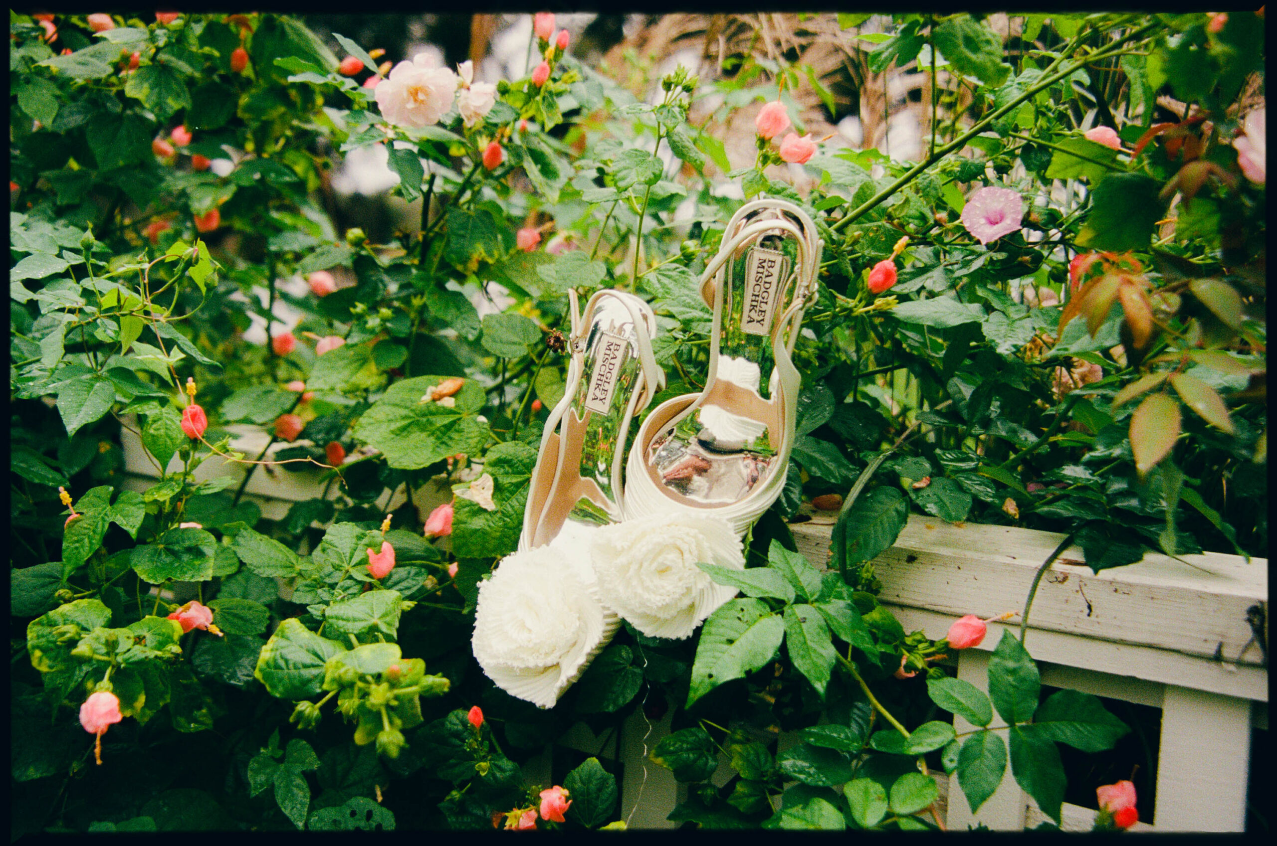 Bridal heels resting among pink roses in a garden, shot on film