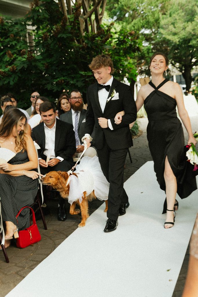 Honey the dog walking down the aisle with the wedding party during Bethany and Ethan's ceremony at The Morehead Inn