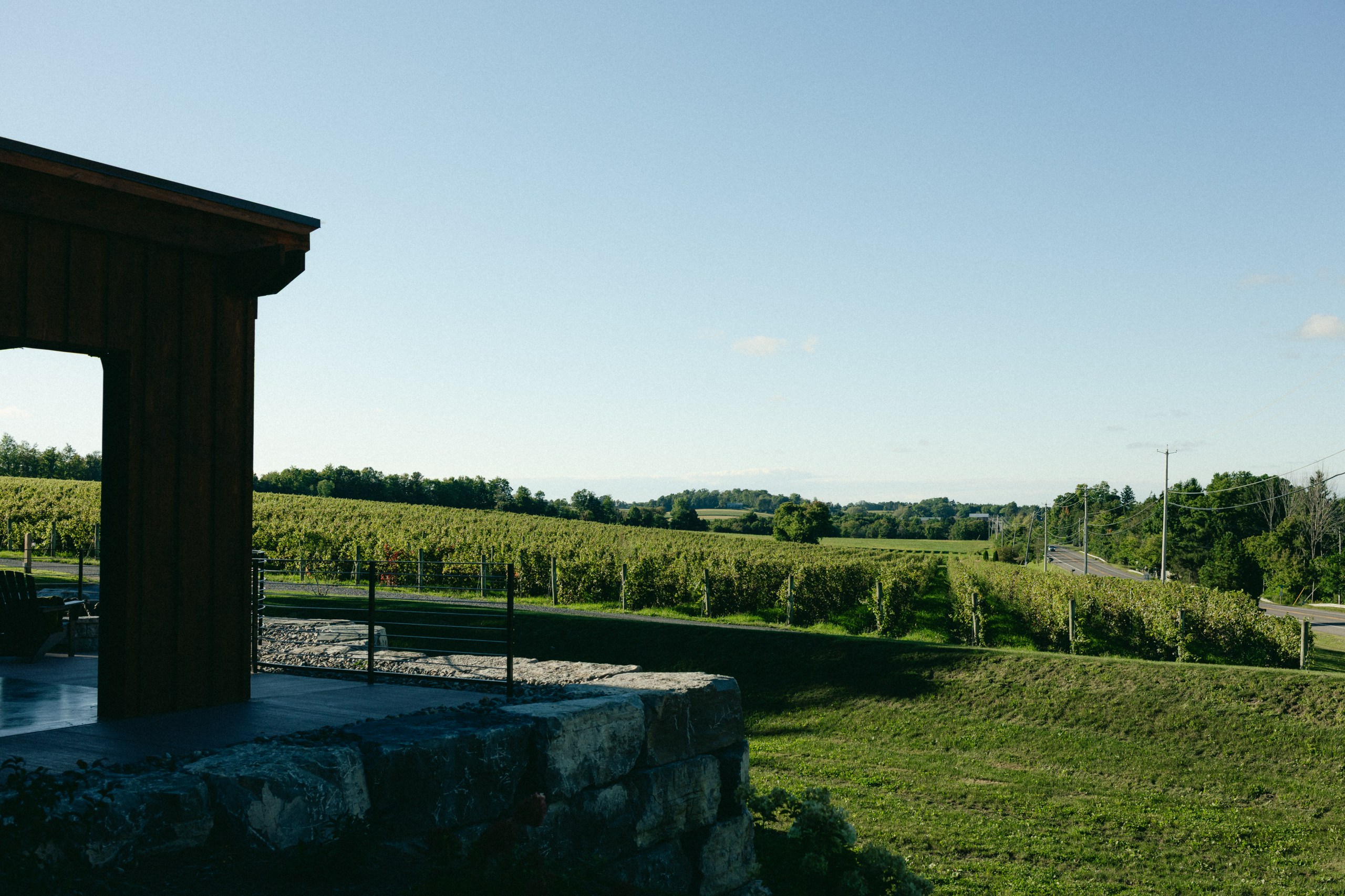 Anyela's Vineyards wedding in the Finger Lakes, New York